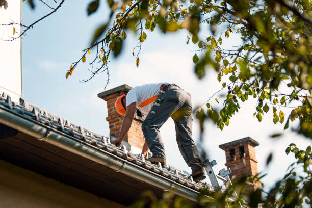 Best Roof Maintenance Services  in New Sharon, IA