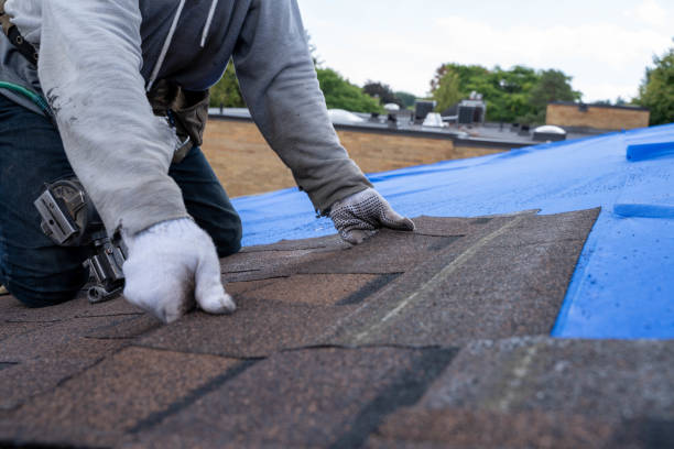 Best Storm Damage Roof Repair  in New Sharon, IA