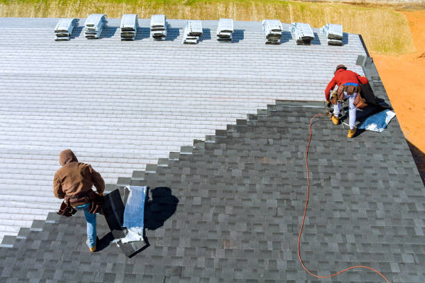 Best Metal Roofing Contractor  in New Sharon, IA