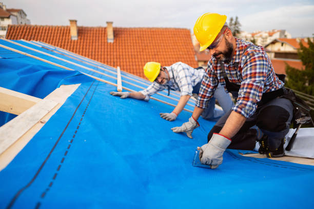 Best Roof Leak Repair  in New Sharon, IA
